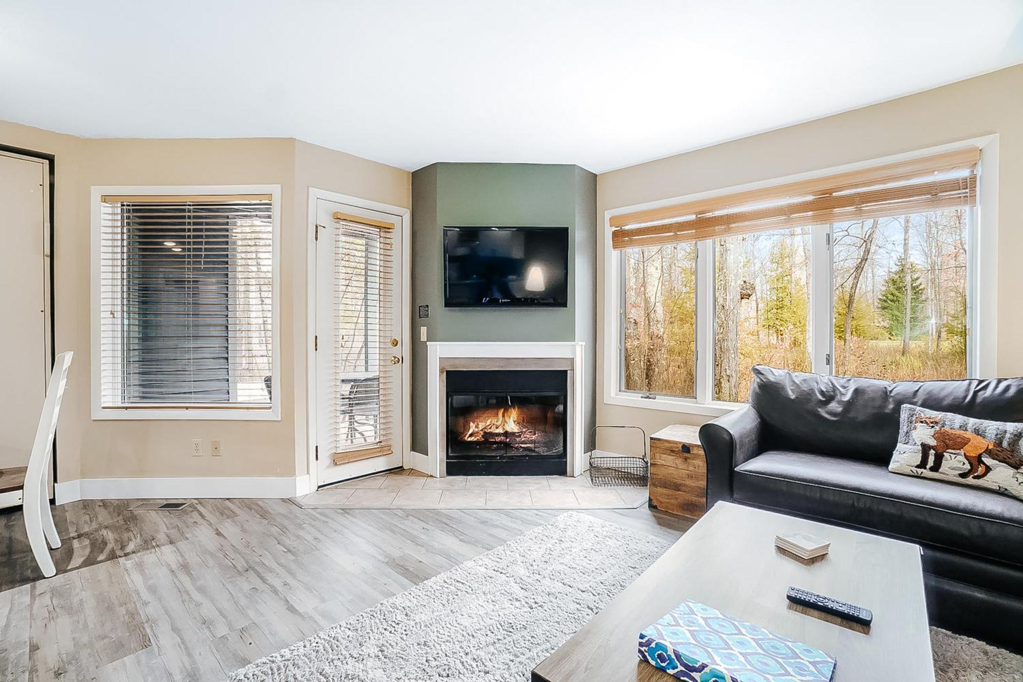 Wintergreen Condos Thompsonville Rum bild