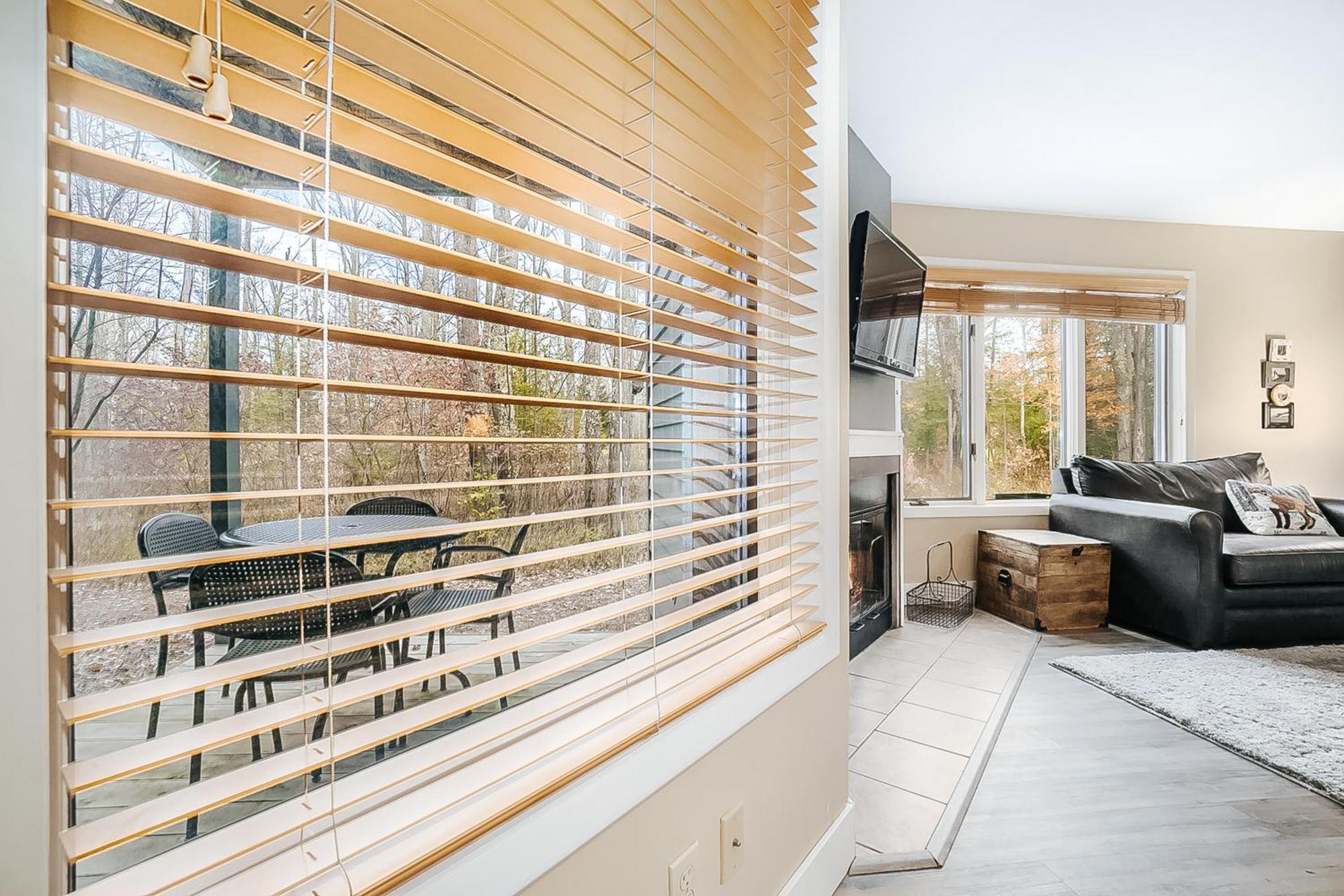 Wintergreen Condos Thompsonville Rum bild