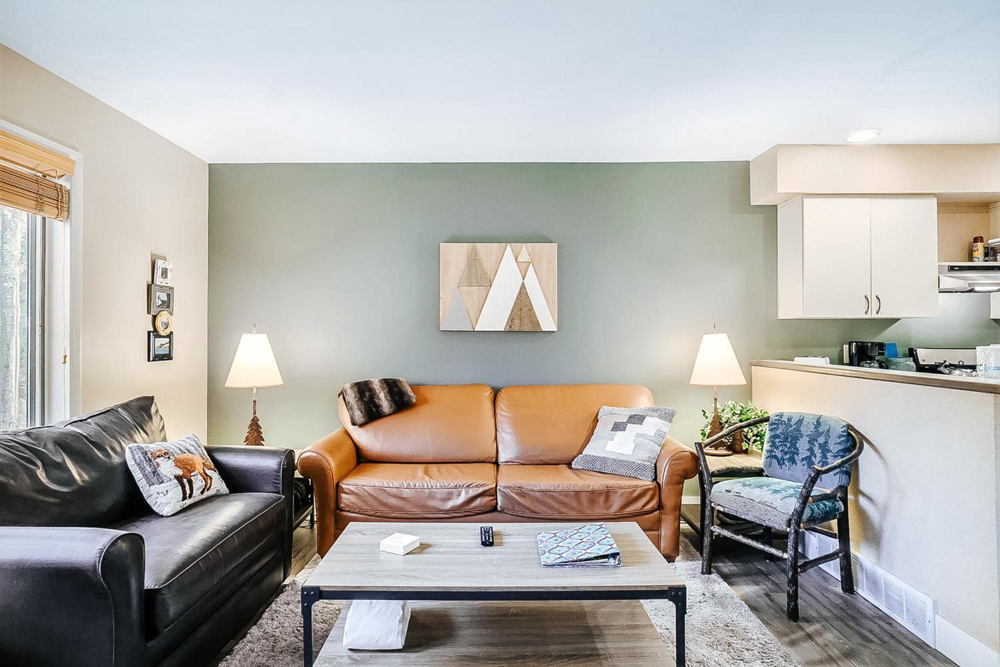 Wintergreen Condos Thompsonville Rum bild