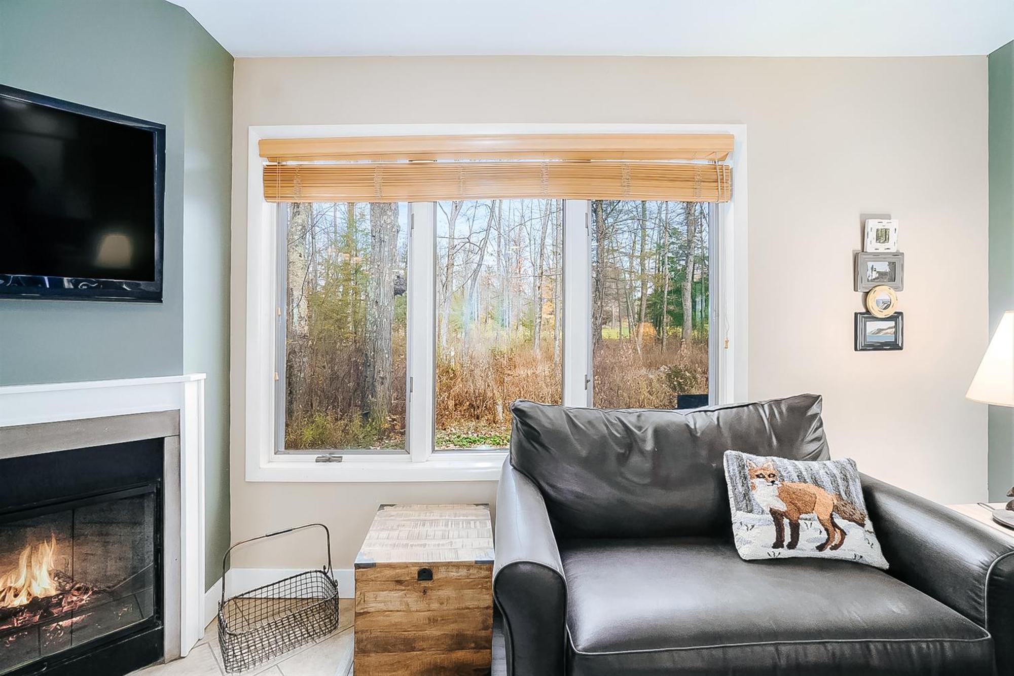 Wintergreen Condos Thompsonville Rum bild