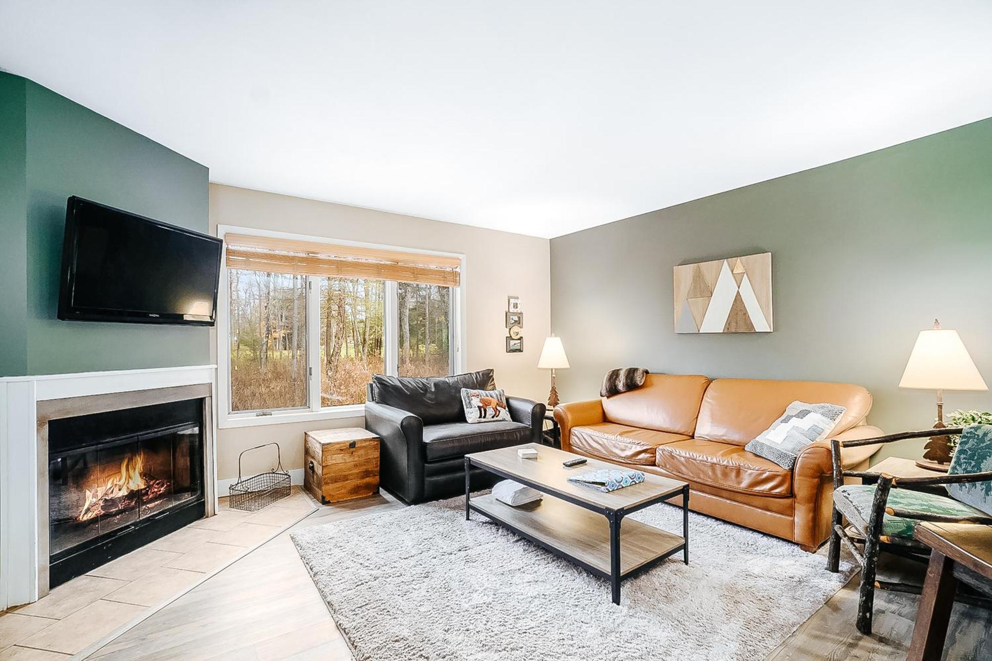 Wintergreen Condos Thompsonville Rum bild