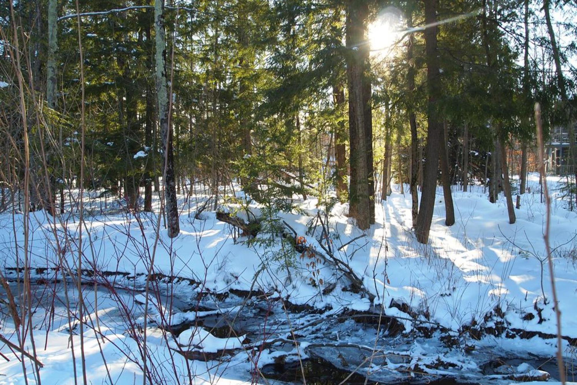 Wintergreen Condos Thompsonville Rum bild