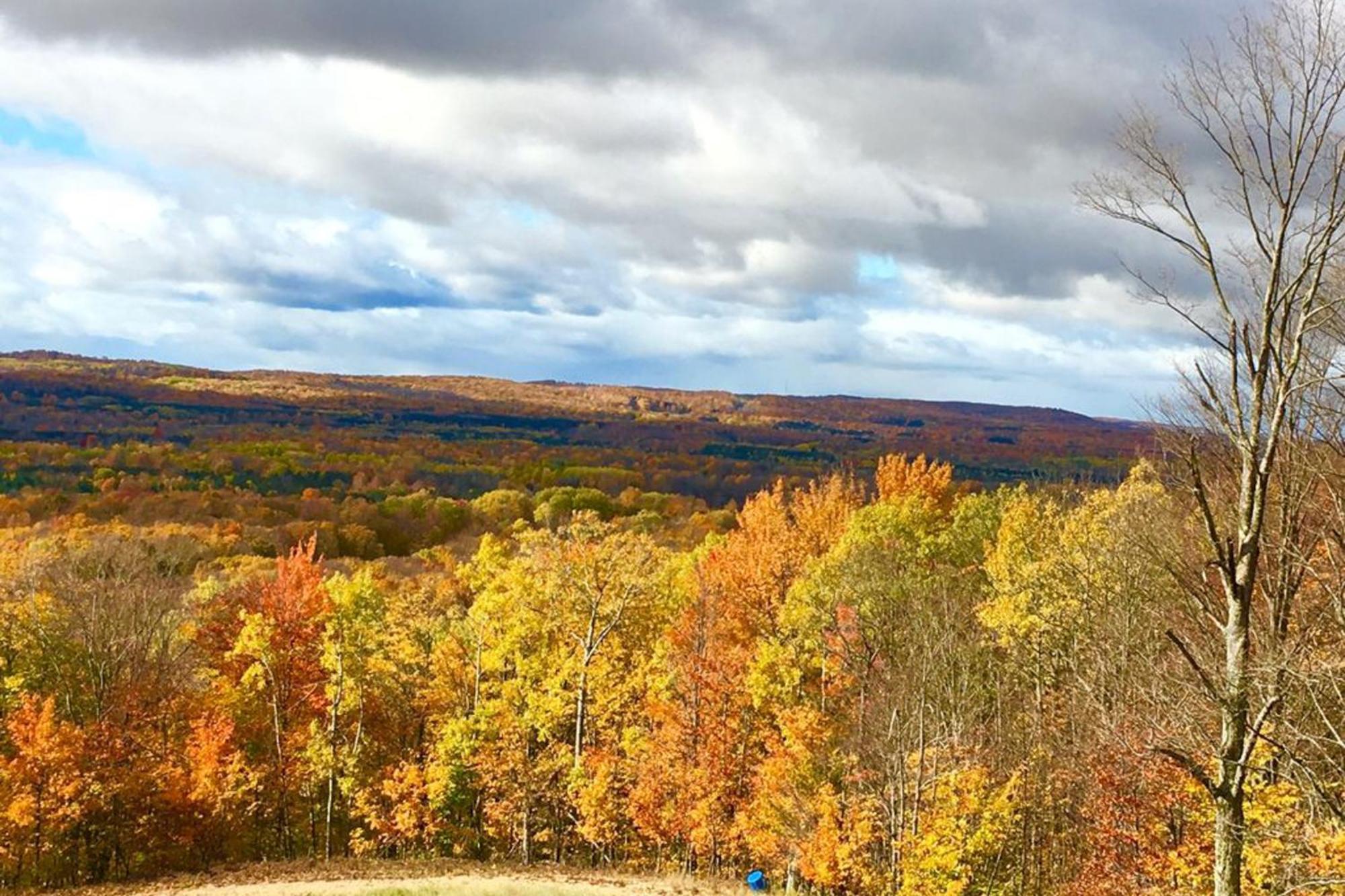 Wintergreen Condos Thompsonville Rum bild